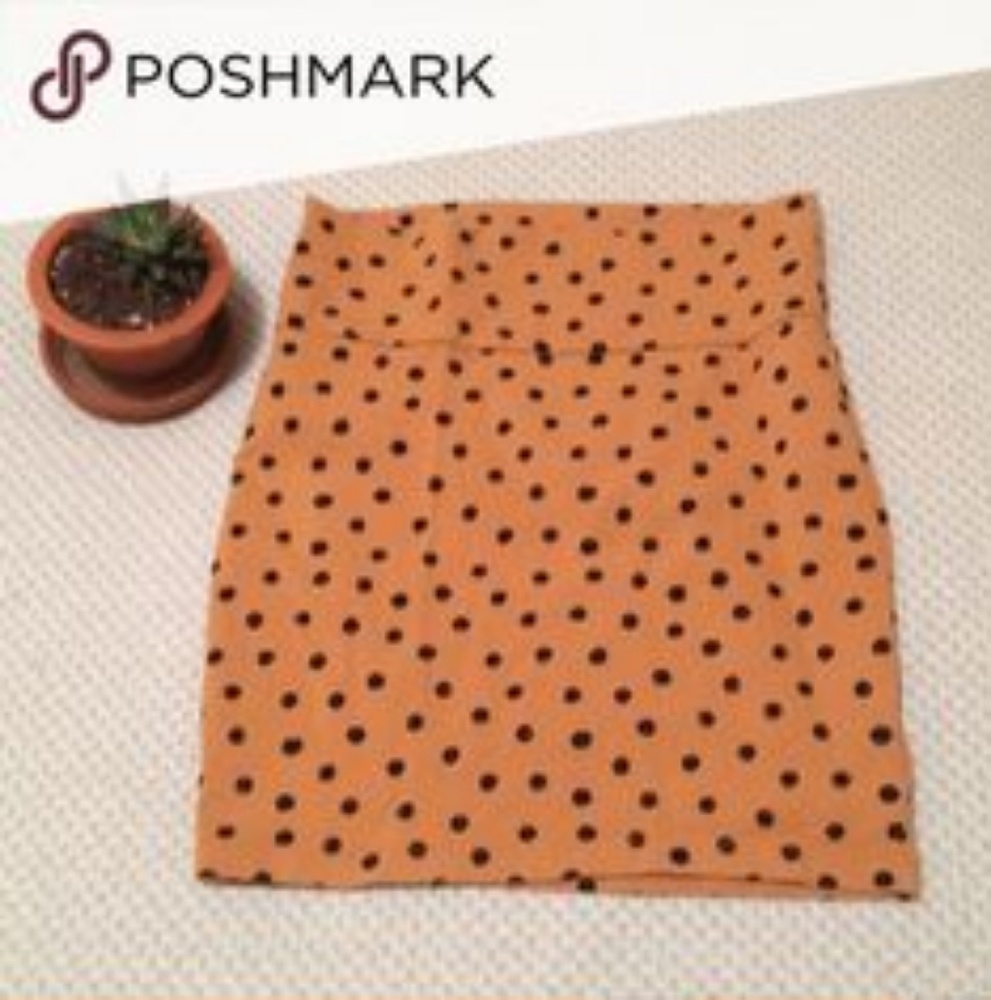 Pleaded Polka Dot Skirt
